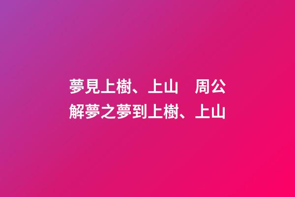 夢見上樹、上山　周公解夢之夢到上樹、上山